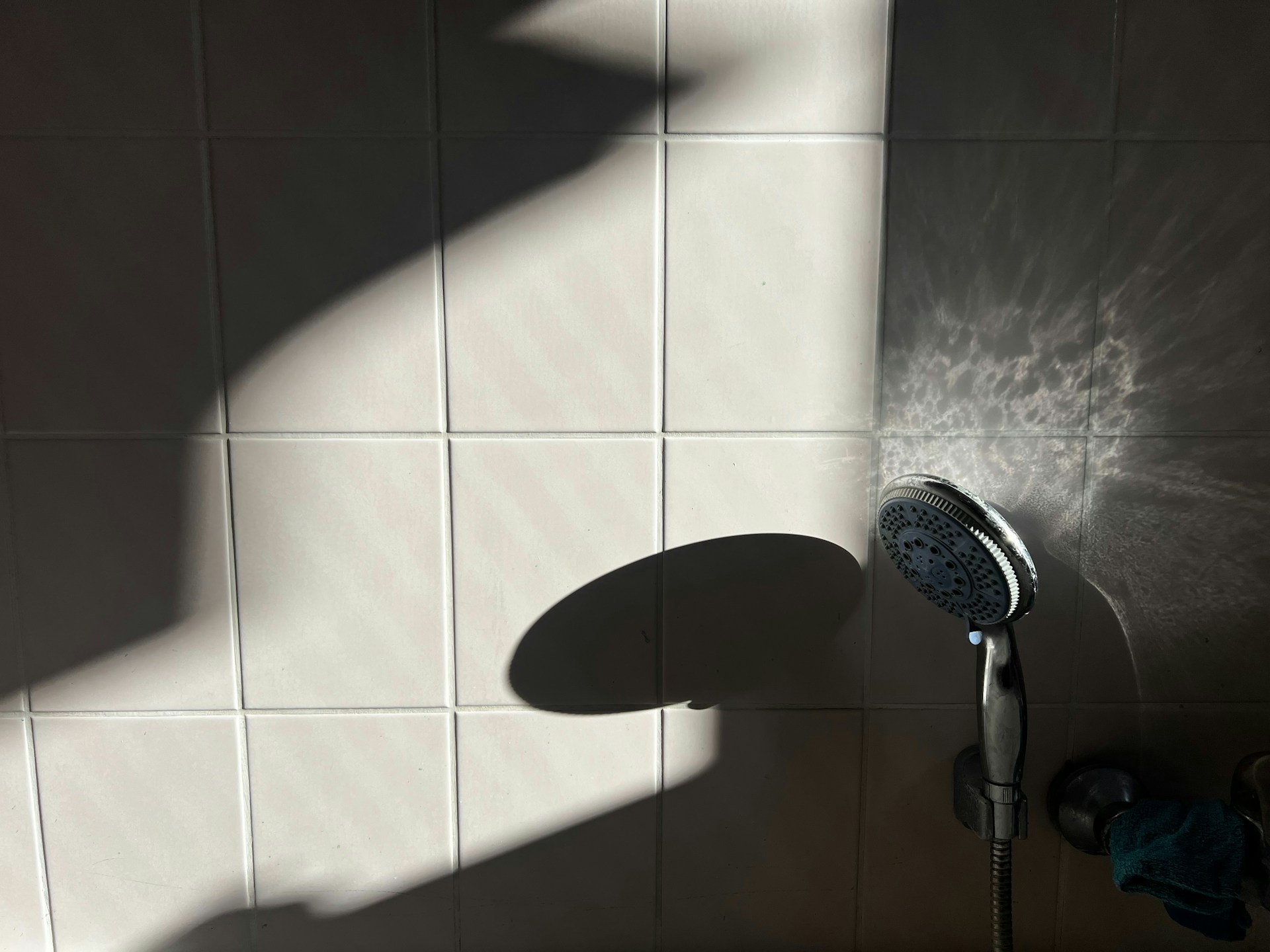 5 Warning Signs of a Serious Shower Leak in Your Bendigo Home